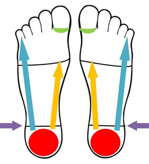 Reflexology Chart For Plantar Fasciitis