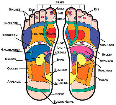 Bumpers Acupressure Map