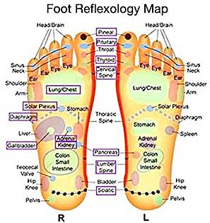 Foot Pressure Points Chart for Reflexology