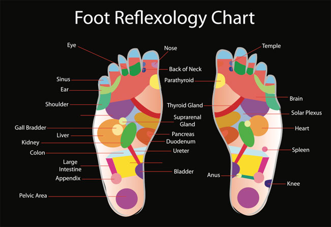 Foot Reflexology Chat to Increase Blood Circulation