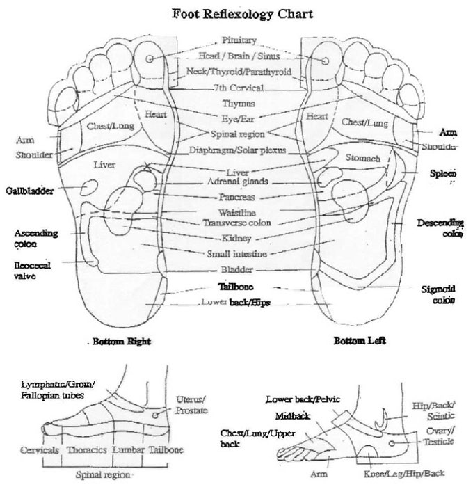 Foot Reflexology Chart for Acupressure Sandals
