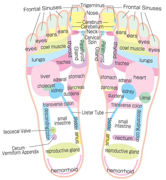 Reflexology Chart for Improving Blood Circulation While Wearing Kenkoh/Revs Sandals