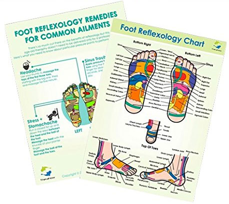 Reflexology Foot Chart to Relieve Common Ailments