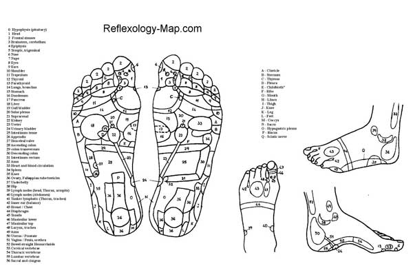 Reflexology Map of Foot, Including Toe Trigger Points for the Head